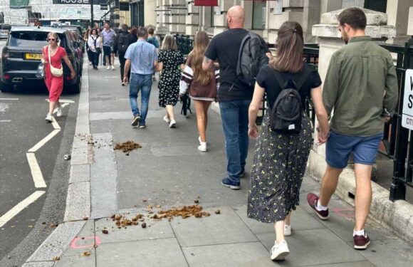 We're disgusted at the state of one of the UK's biggest tourist hotspots – it's covered in horse poo and it stinks | The Sun