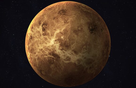 What the stars have in store for YOU – September 5, 2023