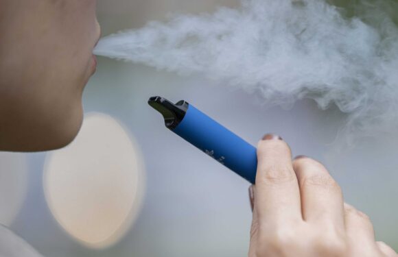 When are disposable vapes being banned in the UK? | The Sun