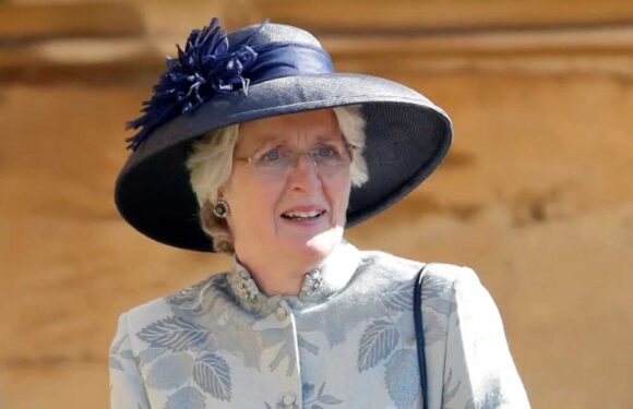 Who is Princess Diana’s sister Lady Jane Fellowes? – The Sun | The Sun