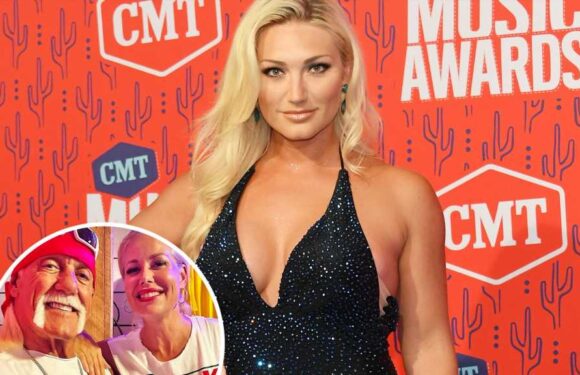 Why Brooke Hogan Didn't Attend Dad Hulk Hogan's Wedding to Sky Daily