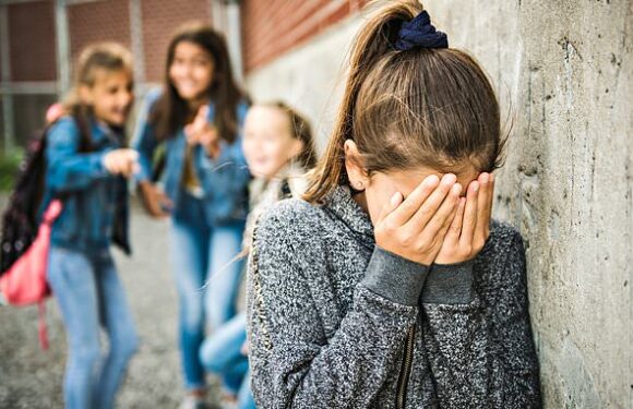 Why do parents remove children to school? HARRIET SERGEANT finds out