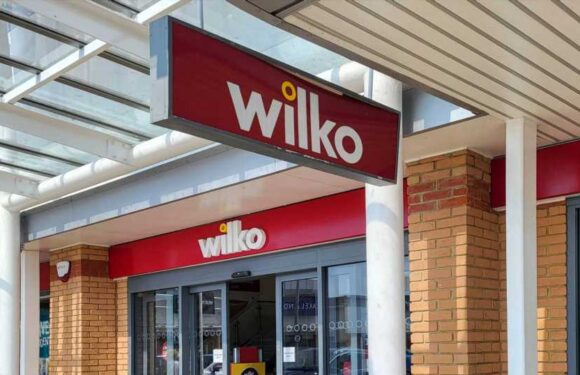 Wilko name could live on as major rival in talks to buy brand – and another discounter could save 70 stores | The Sun