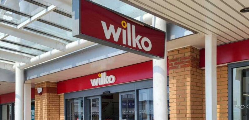 Wilko name could live on as major rival in talks to buy brand – and another discounter could save 70 stores | The Sun