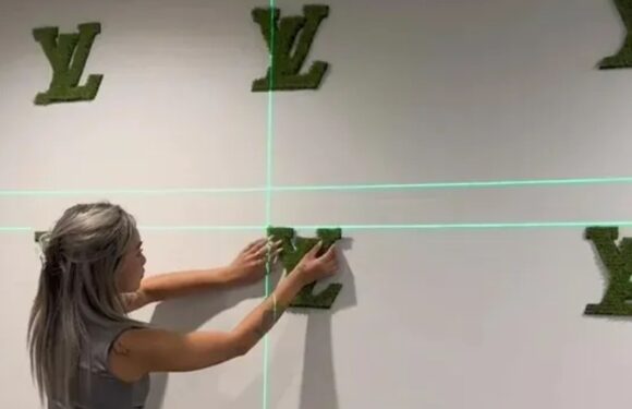 Woman divides opinion after showing off her Louis Vuitton-themed bedroom wall & some simply question why | The Sun