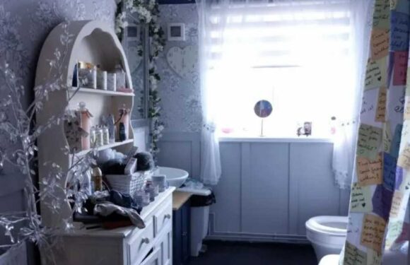 Woman shares council house bathroom makeover, but people instantly come for her – can you spot what’s wrong? | The Sun