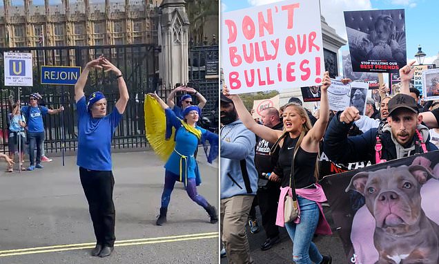 XL Bully owners clash with pro-EU activists in Westminster protests