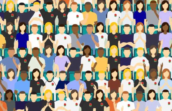 You have 20/20 vision if you can find the ball among the fans within 10 seconds | The Sun