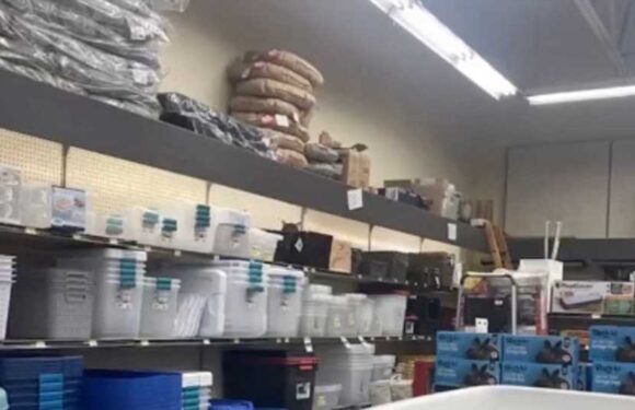 You have 20/20 vision if you can spot the cat hiding in the store illusion in less than seven seconds | The Sun