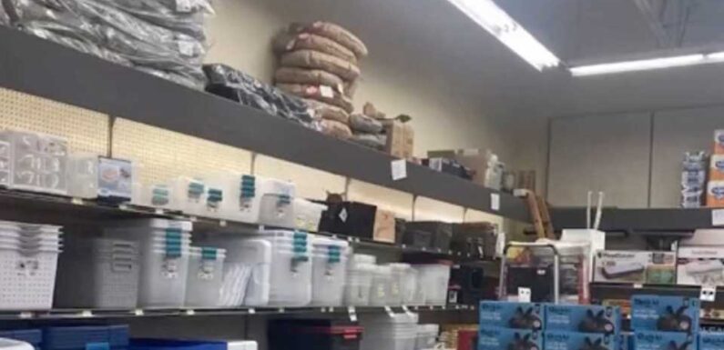 You have 20/20 vision if you can spot the cat hiding in the store illusion in less than seven seconds | The Sun