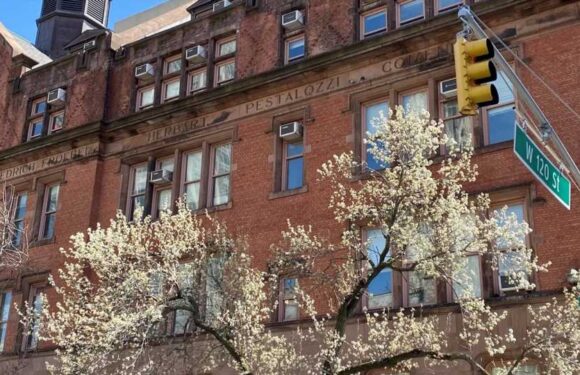 You have a high IQ if you can spot the two birds disguised in the city scene in under 20 seconds | The Sun