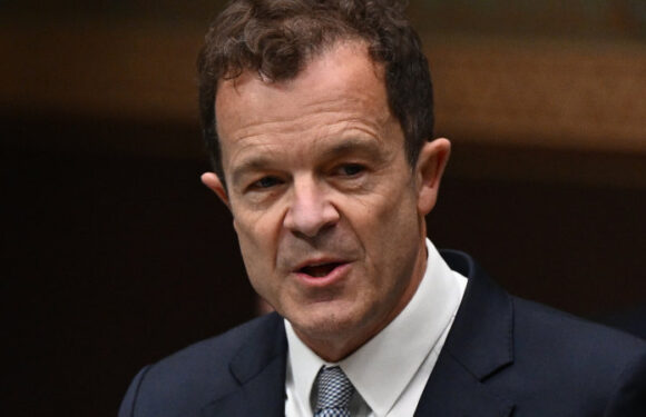 ‘We would not have squandered this opportunity’: NSW opposition leader gives budget response