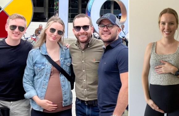 'I lend my womb to strangers so they can have a baby'