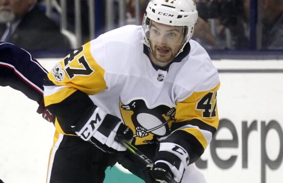 Adam Johnson's girlfriend rushed onto ice after freak hockey accident