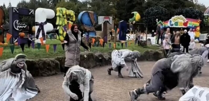 Alton Towers guest steals the show by unintentionally joining flashmob