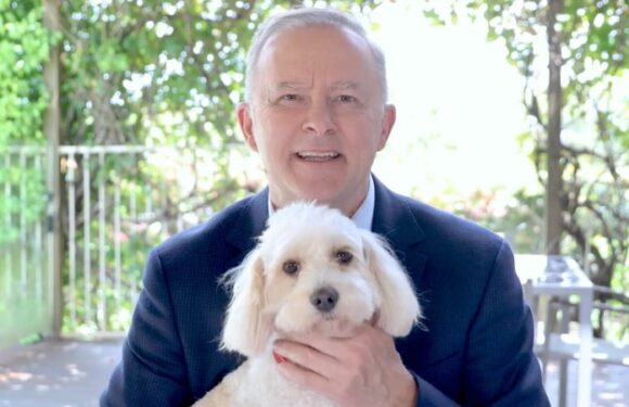 As the PM’s pooch I thought I had it ruff. Then I met my mate Skinny
