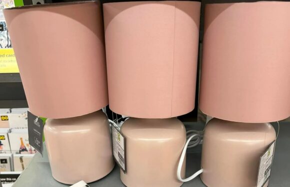 Asda shoppers have nabbed home buys that are scanning for just 55p – but they should’ve cost £6.50 | The Sun