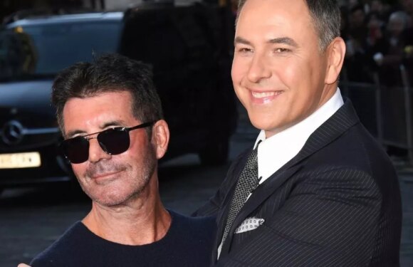 BBC pulls funding from David Walliams project after X-rated comments on BGT