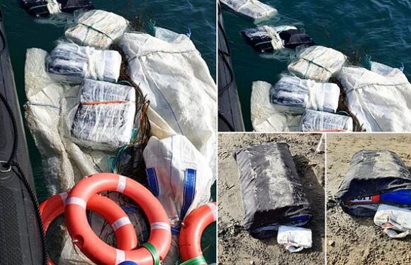 Bags containing hundreds of kilos of 'cocaine' wash up on Dorset beach