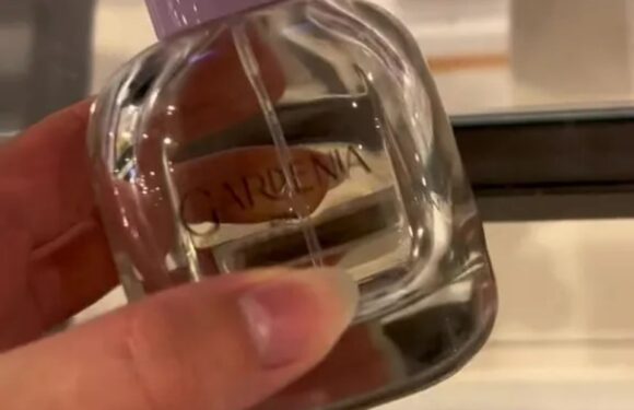 Beauty fan walks through the latest perfume dupes to hit Zara, including a £12 scent for the cult favourite Black Opium | The Sun