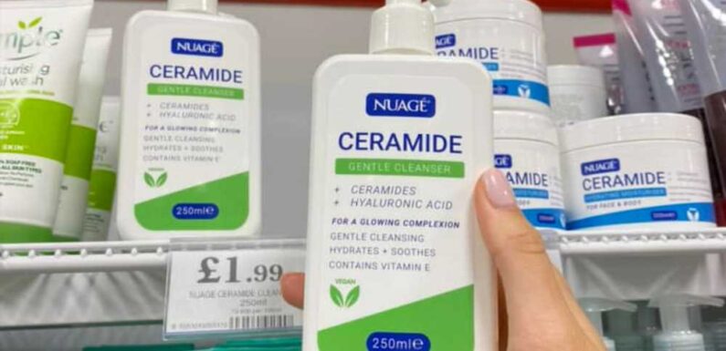 Beauty fans scramble to nab brand new £1.99 CeraVe dupes in Home Bargains – but you'll need to move fast | The Sun