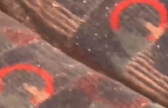 Bed bug panic on the London Underground