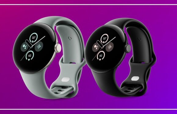 Best Google Pixel Watch 2 deals: Save £60 and get FREE Fitbit Premium