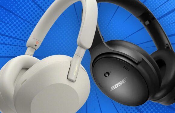 Bose beats Sony as QuietComfort headphones crash below £200