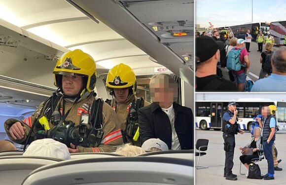 British Airways evacuates passengers from plane at Heathrow