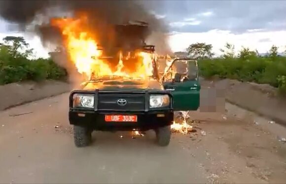 British tourist among three people 'killed by terror group' on safari