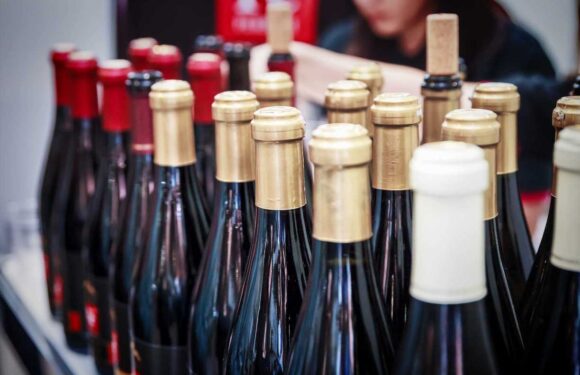 Brits splash out on 'pricer plonk' when trying to impress their guests, survey shows | The Sun