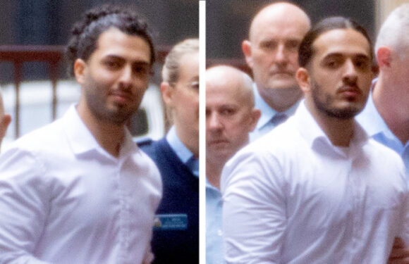 Brothers accused of terror-fuelled bushfires filmed vow to burn cities