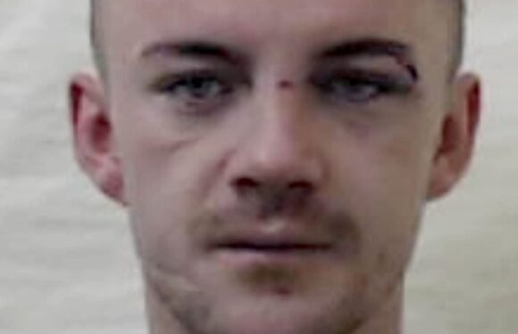 Brute who murdered his girlfriend is jailed for life