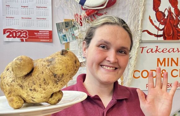 Chippy owners discover gigantic mutant potato shaped like a hippo