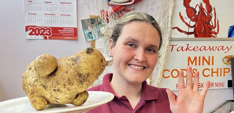 Chippy owners discover gigantic mutant potato shaped like a hippo