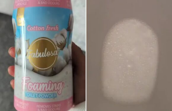 Cleaning fans flock to B&M for a Fabulosa gem that smells amazing while getting rid of limescale in your loo | The Sun