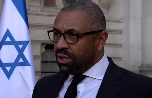 Cleverly blasts leftwing Labour MPs who met Palestinian ambassador