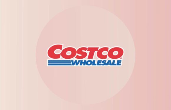 Costco's Waterproof Pet Blankets Will Keep Your Furniture Protected From Snowy, Muddy Paws This Winter