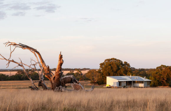 Country tin shed snags top architecture gong