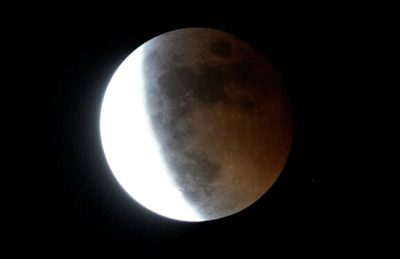 Daily guide to what the stars have in store for YOU – October 27, 2023