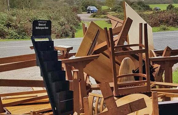 Dog walker finds discarded Wetherspoon furniture after it was stolen