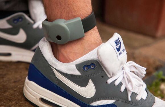 Dozens of dozy criminals caught thieving on parole while wearing GPS ankle tags | The Sun