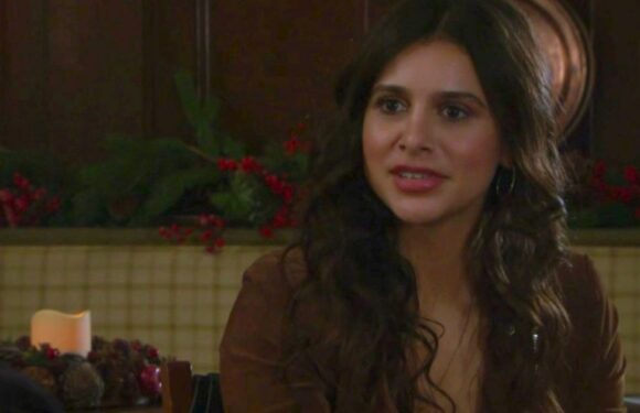 Emmerdale fans thrilled as they rumble Meena link in love triangle