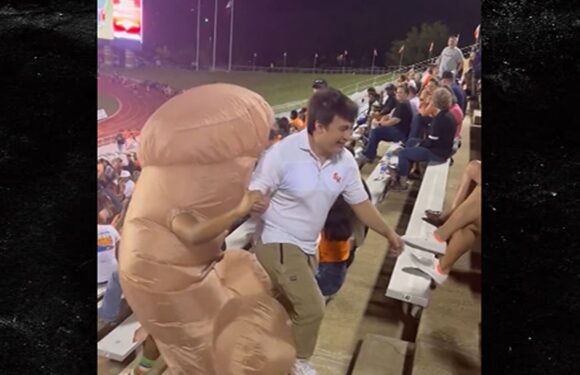 Fan Wears Giant Penis Costume At College Football Game, Hilarious Video!