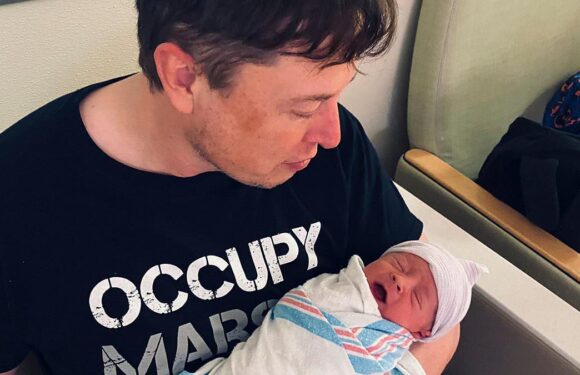 Father-of-11 Elon Musk says having children should be 'incentivized'