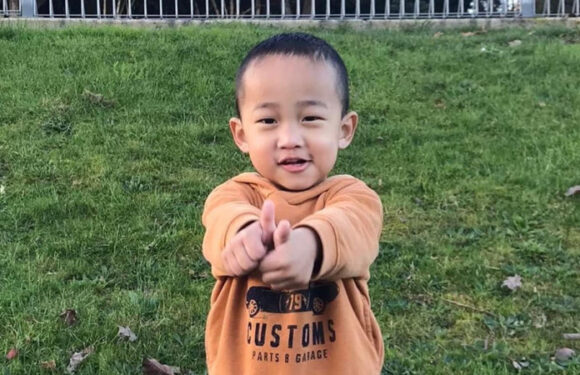 Festival turns to tragedy as boy, 2, dies after being hit by car in church car park