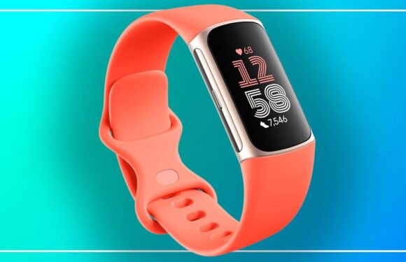 Fitbit Charge 6 review: The best fitness tracker