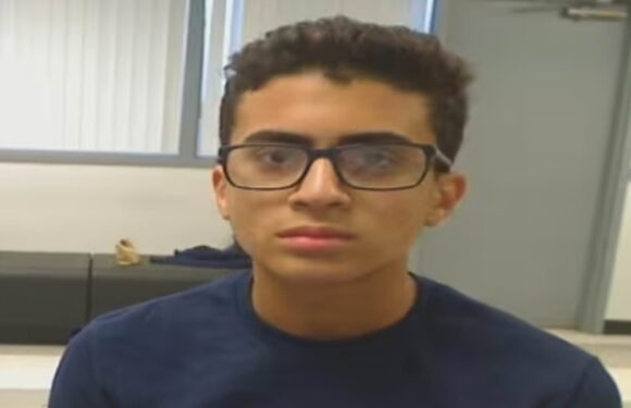 Florida teen arrested for stabbing mum in neck next to newborn sister