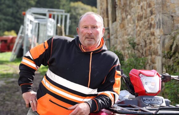 Former lumberjack quizzed over sycamore says: 'I'm not that stupid'