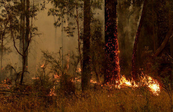 Four out-of-control fires threaten Gippsland towns